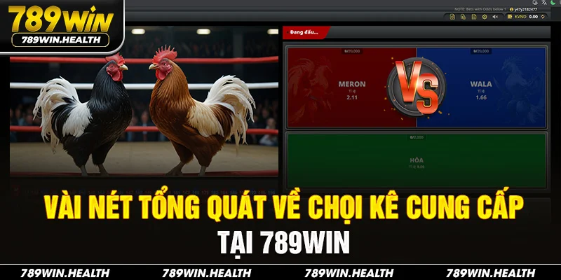 Vài nét tổng quát về chọi kê cung cấp tại 789Win